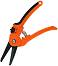       RAMP - 