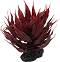 ���������� �������� �� �������� REPTI PLANET Agave Red - 18 cm - �������