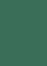    Canson 30 Moss green -   Colorline - 