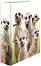   2  HERMA -  -   A4      7 cm   Animals - 