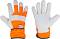      Bradas Avert -  10.5 - 