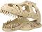 ��������� �� �������� T-Rex ����� - REPTI PLANET - 13.3 / 8.5 / 9 cm - �������