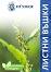        Huniger - 55 g - 