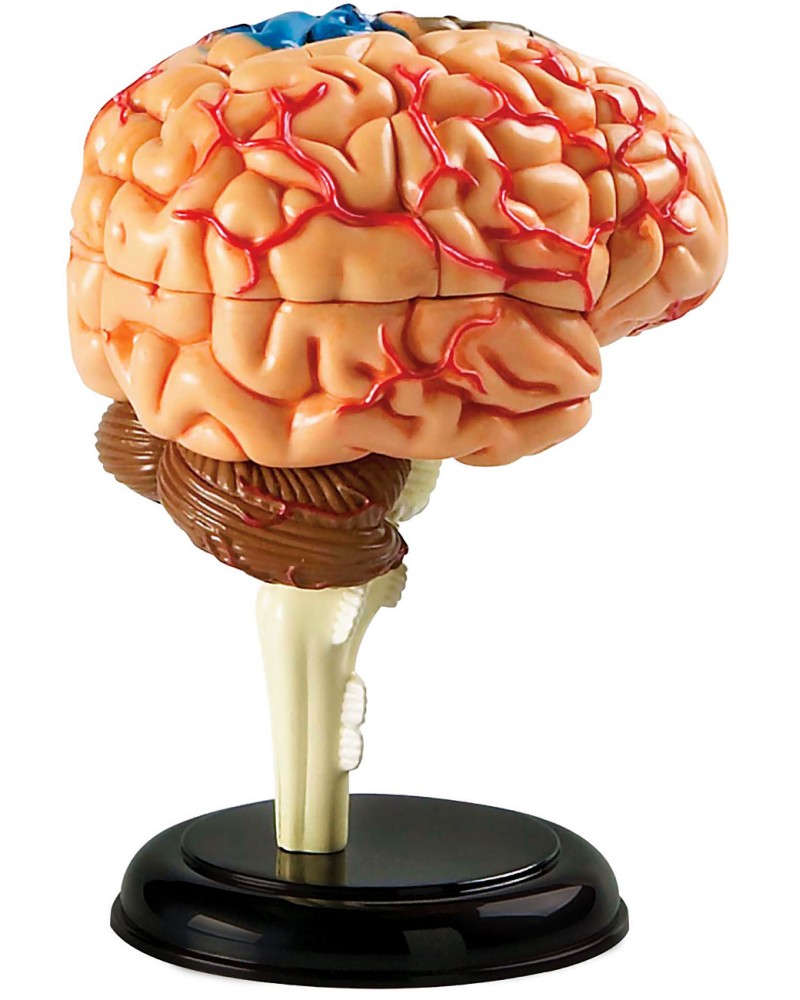      Learning Resources -  