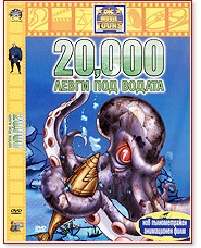 20 000    - 