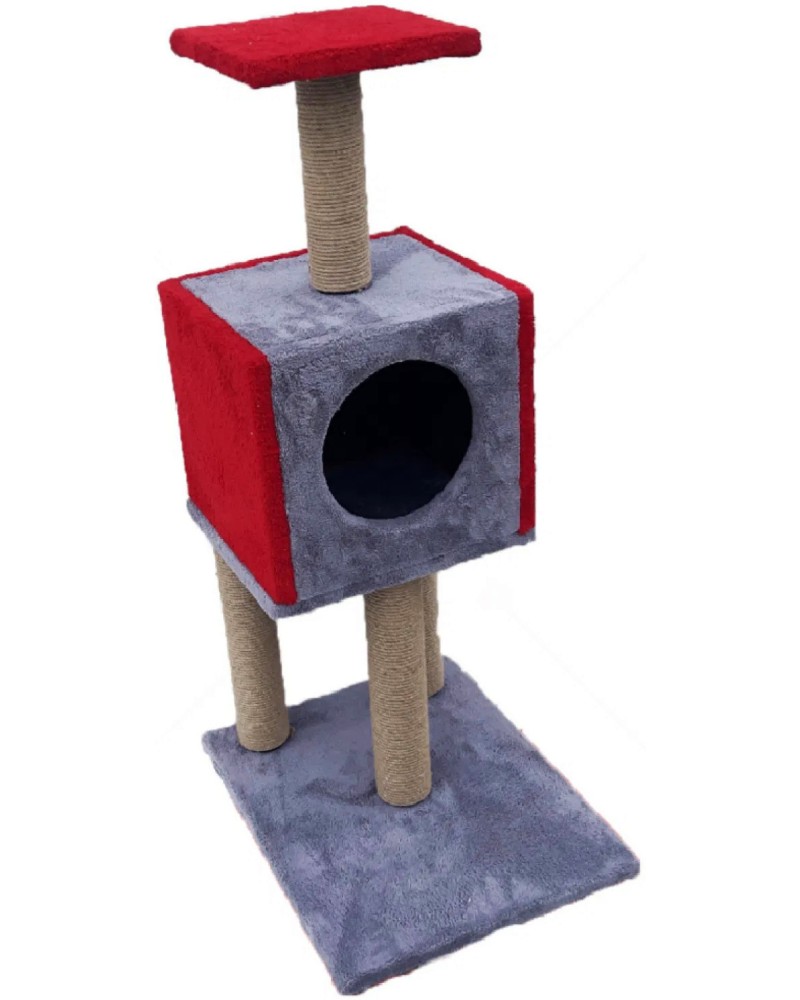    MINA PET -  ,    - 