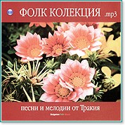      -   - mp3 - 