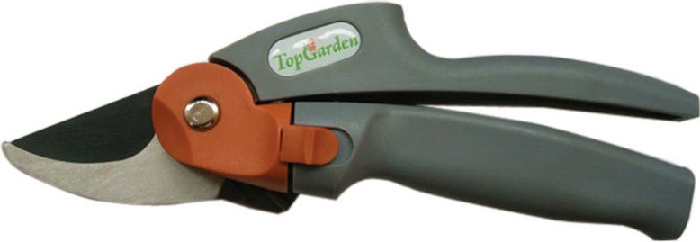       Top Garden - 