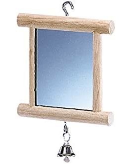      Nobby - 10 x 10 cm - 
