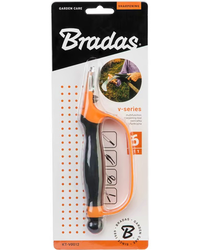   Bradas 6  1 - 