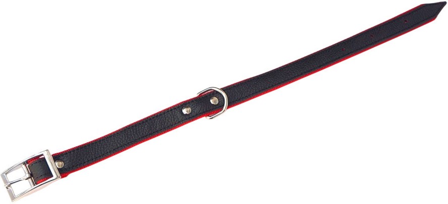 ����� �������� �� ������ anipro - � ������� 60 cm - �������