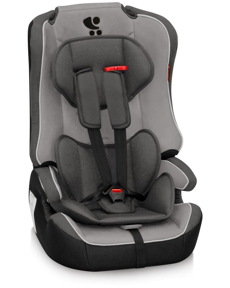 ������ ������ �� ���� - Explorer: Grey - �� ���� �� 9 �� 36 kg - ������ �� ����