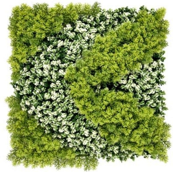     My Garden Reflection CCGA232 - 50 x 50 cm - 