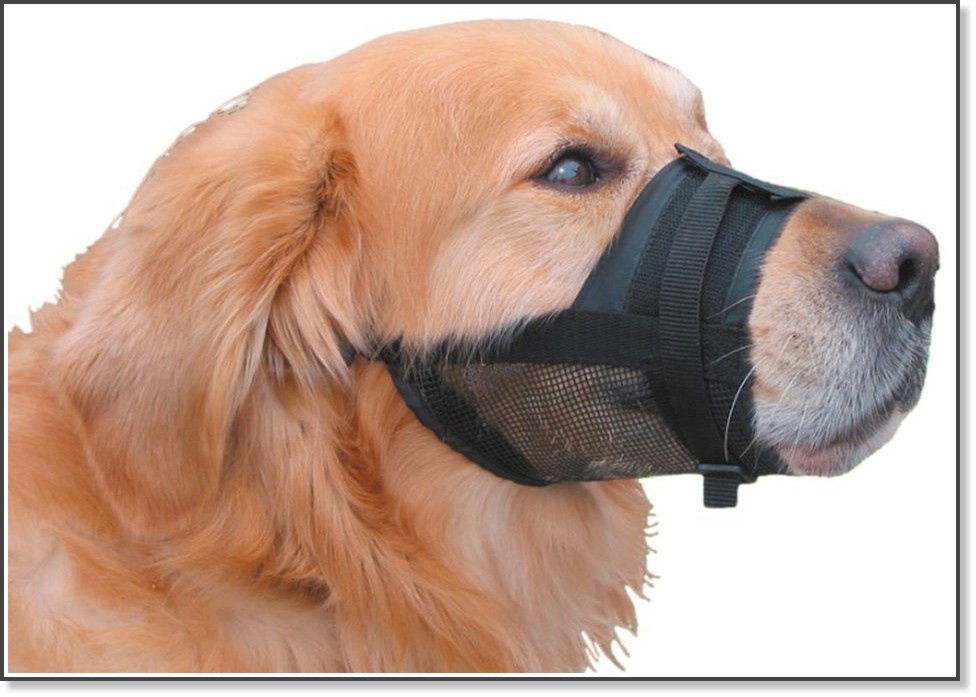 Намордник за кучета Nobby Muzzle Size 4 Намордник за кучета Nobby Muzzle Size 4 - продукт