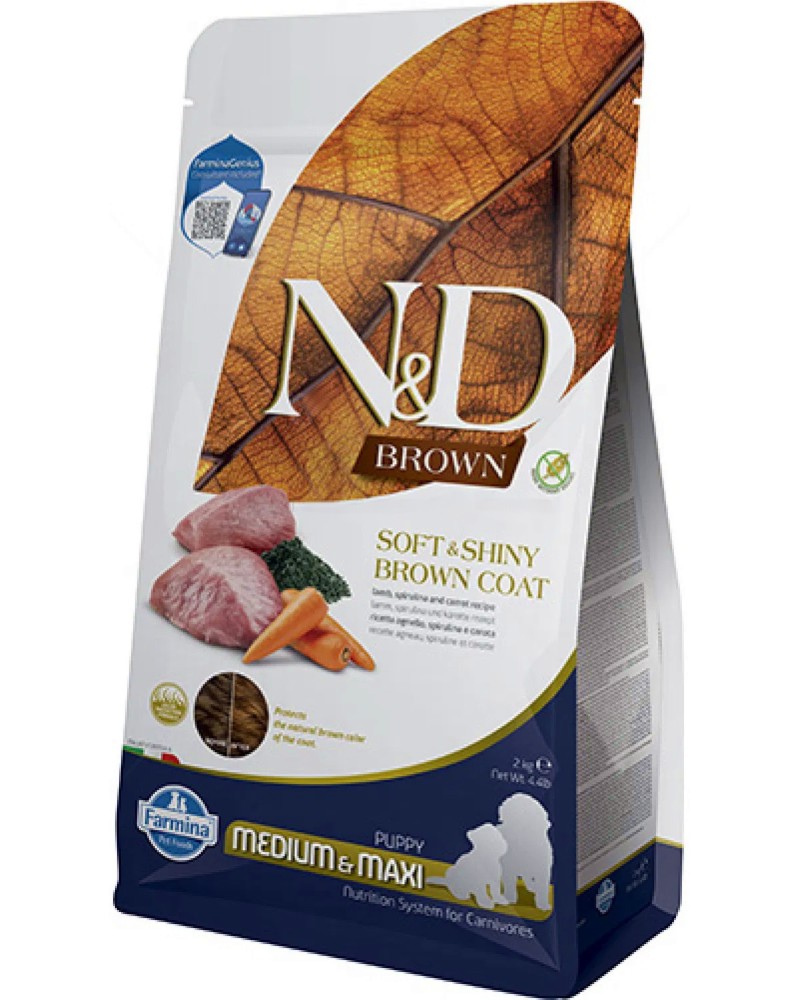        N&D Puppy Medium & Maxi - 2 kg,  ,   ,   Brown,     ,  2  16  - 