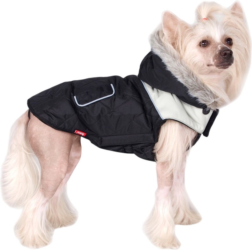 ����� �� ������ Tommi Montana - S � S/M - �������