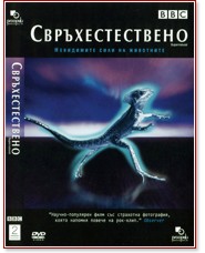 ��������������� - ����