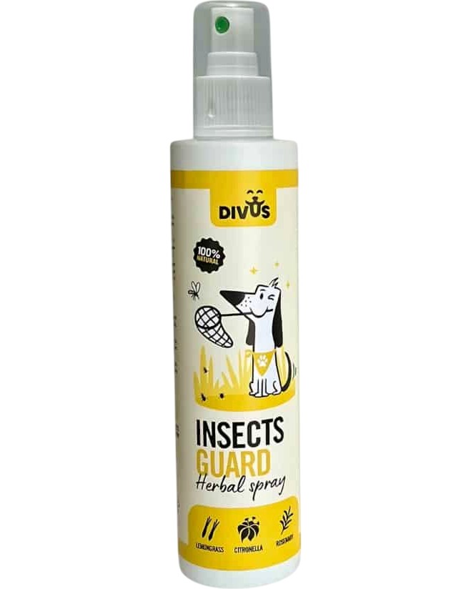      Divus - 250 ml - 