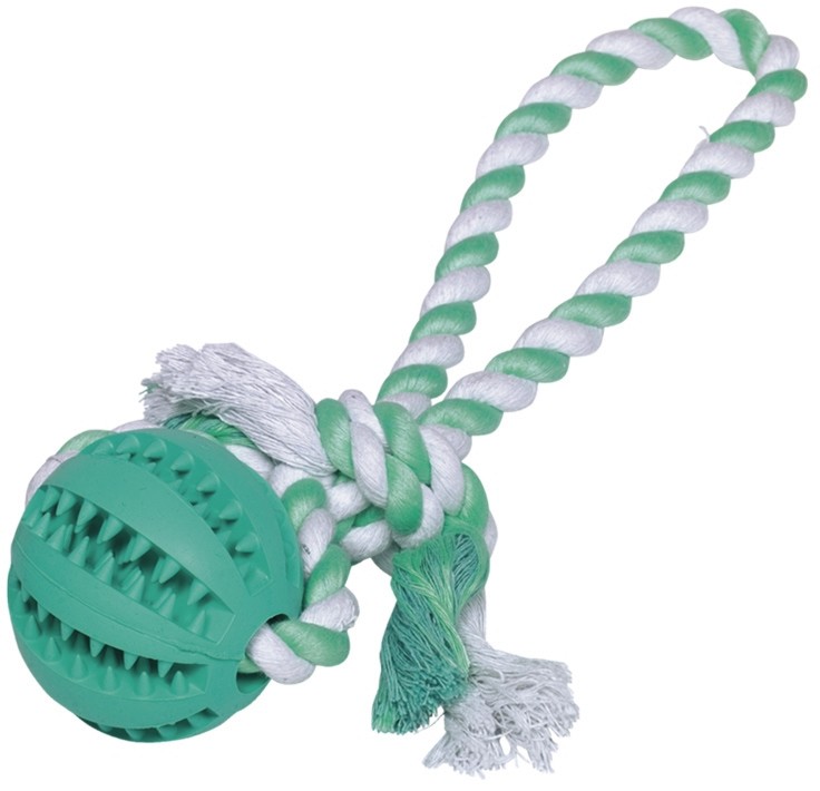    Nobby Dental Line -     - 