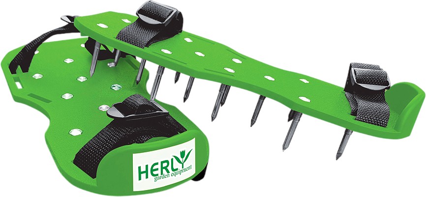      Herly - 