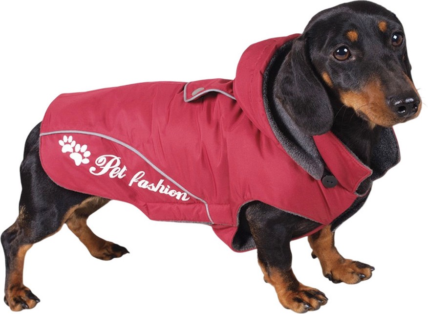 ����� �� ������ Tommi Winea - � ������� 20 ÷ 30 cm - �������