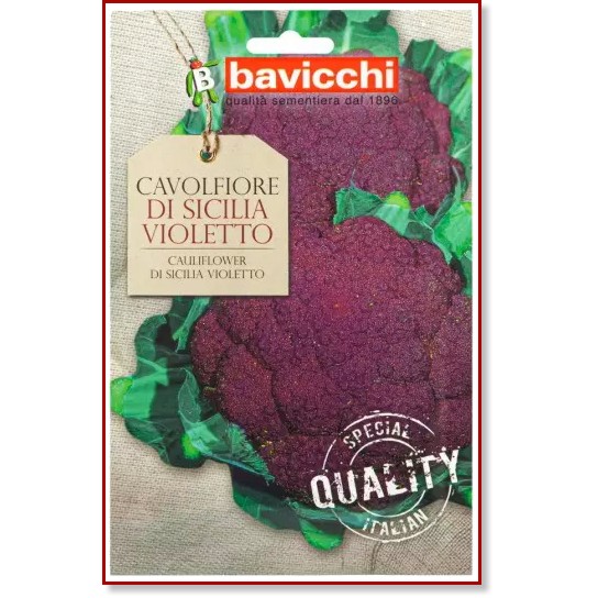 Семена от Карфиол - Сицилиански виолетов Семена от Карфиол - Сицилиански виолетов - 2 g от серията Geo -