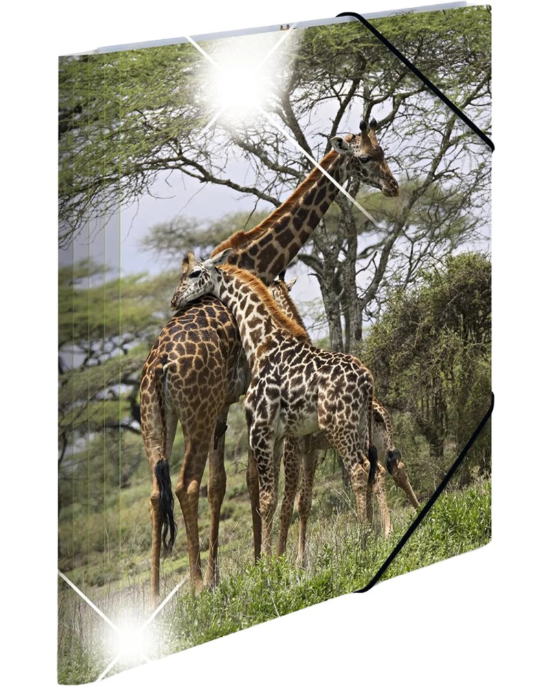 ����� � ������ HERMA - ���������� ������� - �� ������ A4 �� ������� Animals - 