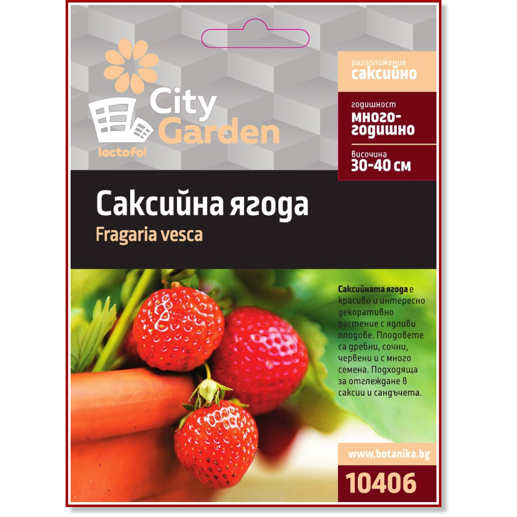 Семена от Саксийна Ягода Семена от Саксийна Ягода - От серията City Garden -