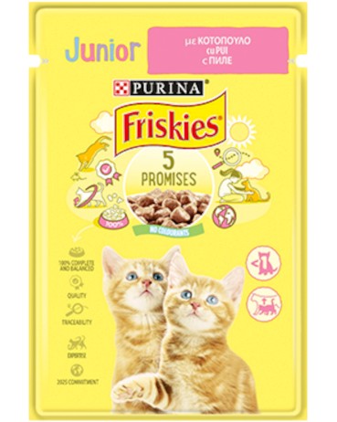    Friskies Junior - 85  4 x 85 g,     ,    6   1  - 