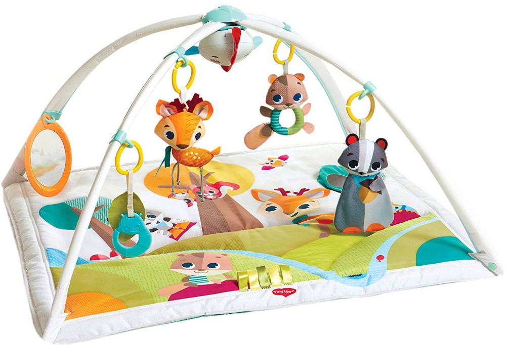 ������� ���������� Tiny Love Gymini Deluxe - �� ������� Into the Forest - �������