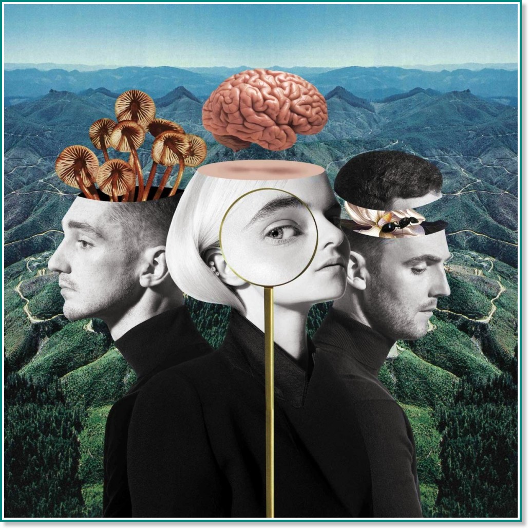 Clean Bandit - What is love? - Limited Deluxe - 