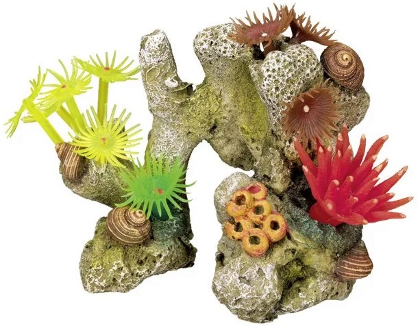    Nobby Coral Stone - 11 / 8.5 / 7 cm - 
