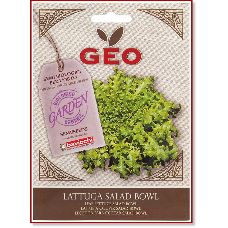 Био семена от Салата - Salad bowl Био семена от Салата - Salad bowl - 4.5 g от серията Geo -