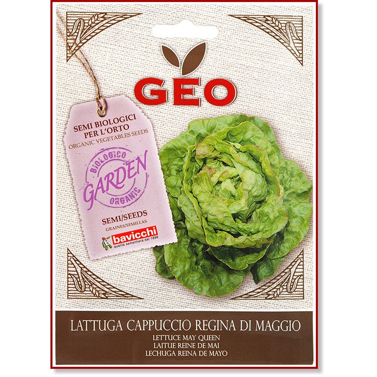 ��� ������ �� ������ - May Queen - 4.5 g �� ������� Geo - 
