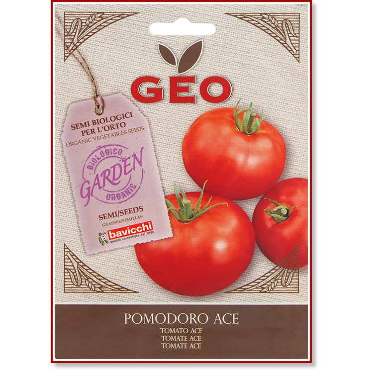     - Pomodoro Ace - 1 g   Geo - 