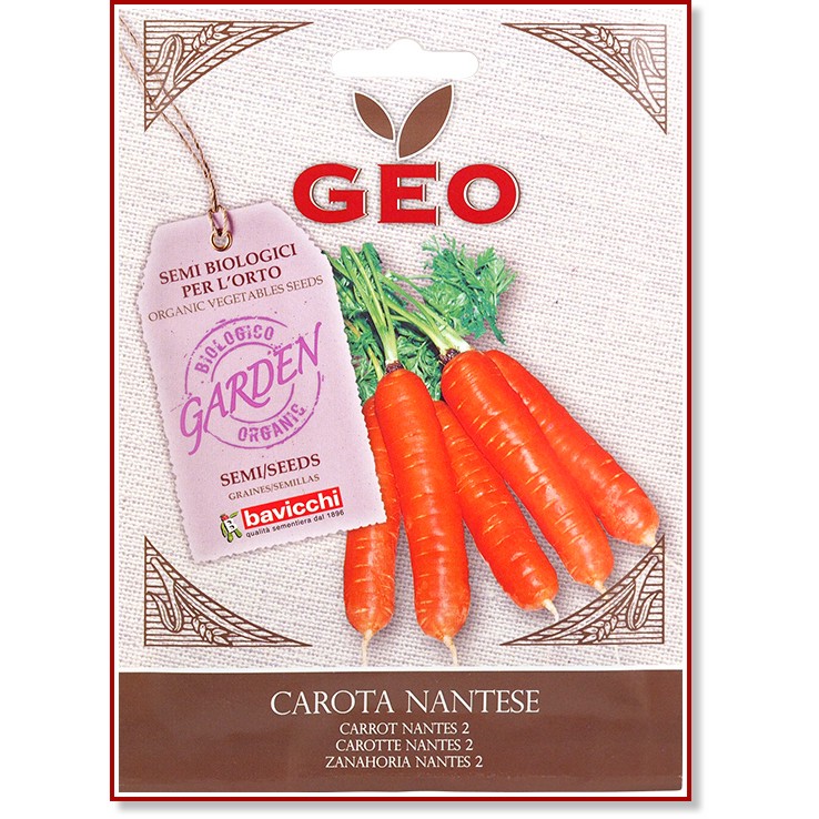 ��� ������ �� ������� - Nantes - 4 g �� ������� Geo - 