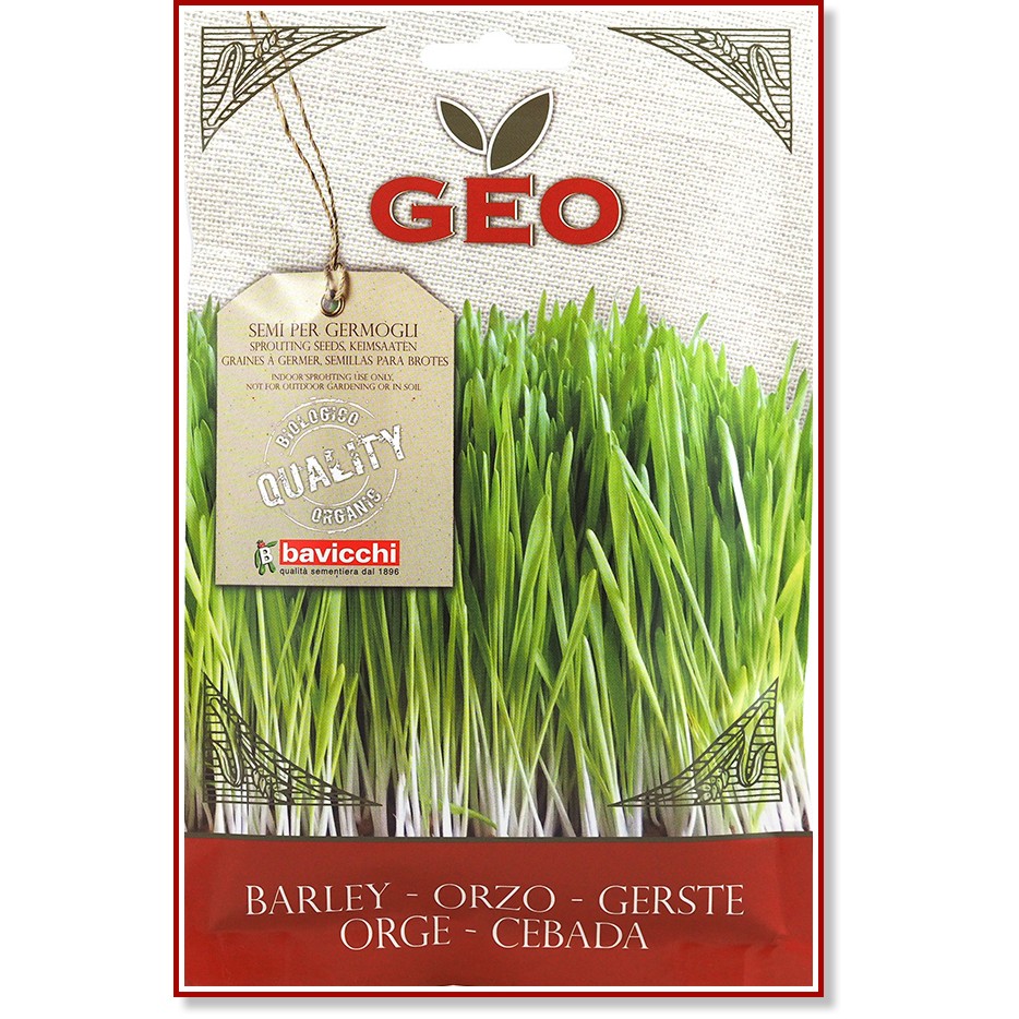        Bavicchi - 80 g   Geo - 