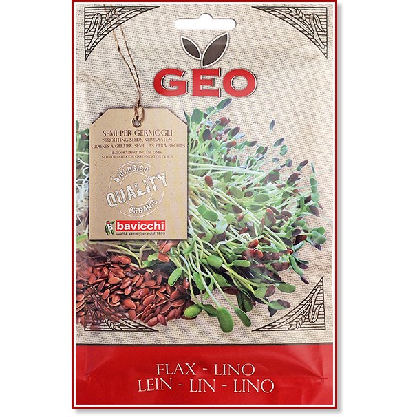 ��� ������ ���� �� ��������� Bavicchi - 80 g �� ������� Geo - 