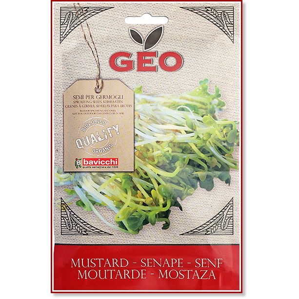     Bavicchi - 50 g   Geo - 