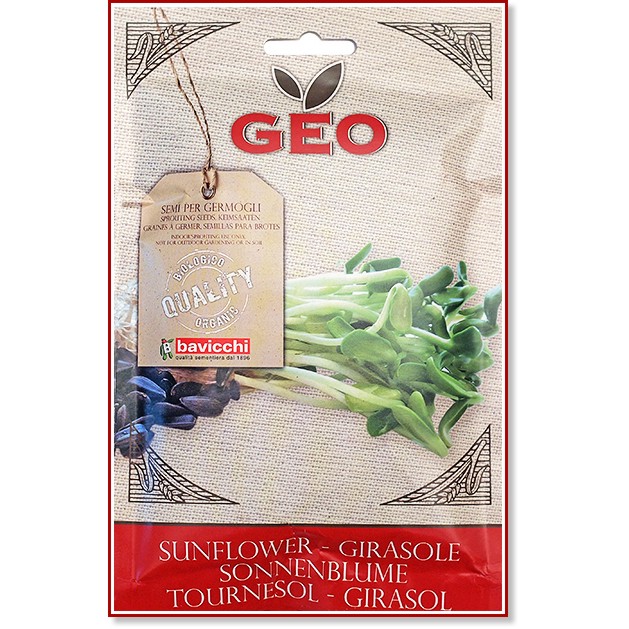 ��� ���������� �� ��������� Bavicchi - �� ������� Geo - 