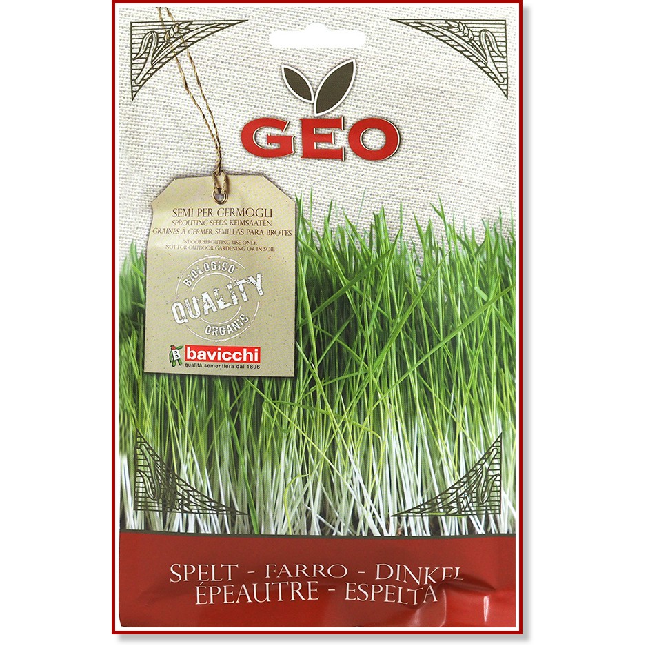 ��� ������ �� ��������� � �� �������� Bavicchi - 80 g �� ������� Geo - 