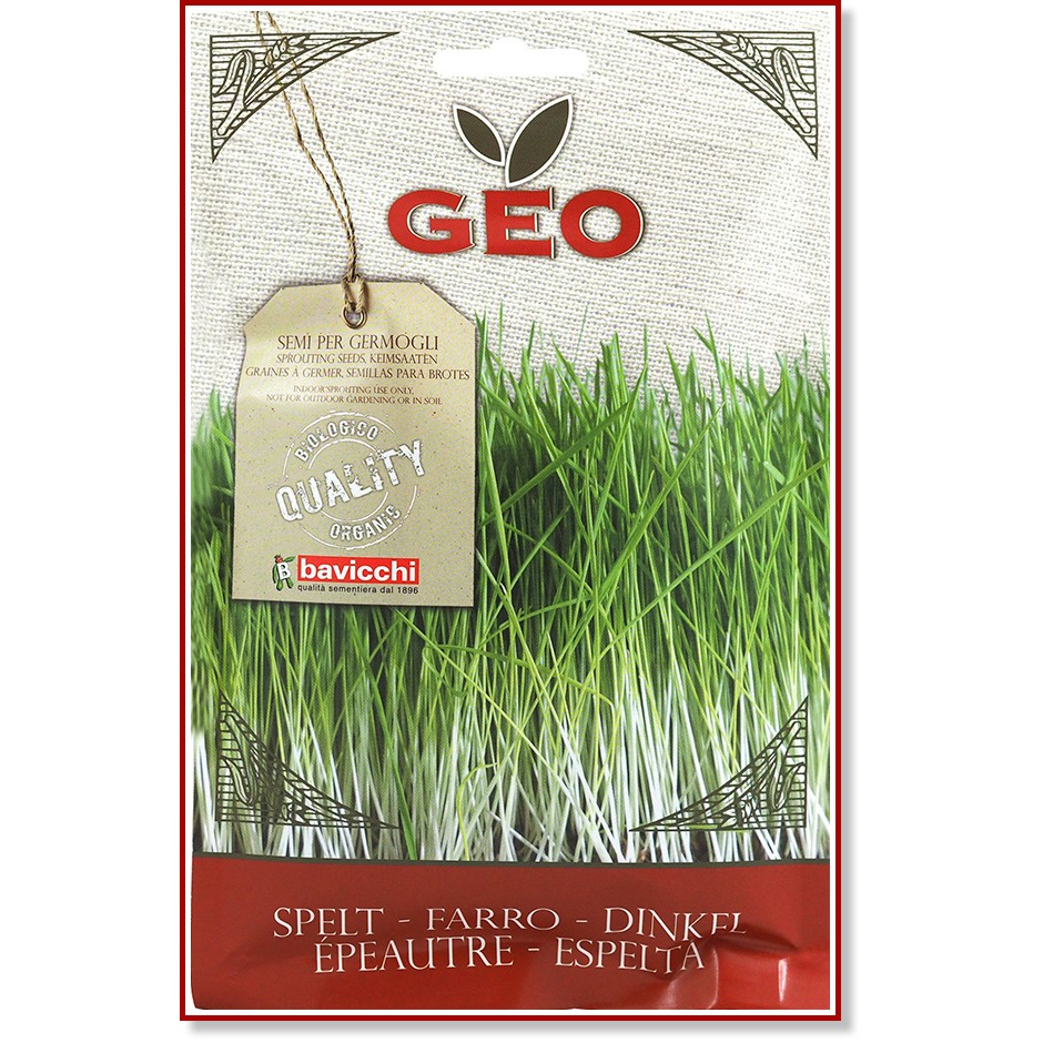        Bavicchi - 80 g   Geo - 