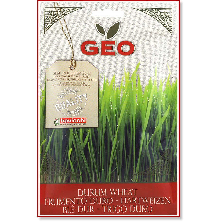        Bavicchi - 80 g   Geo - 