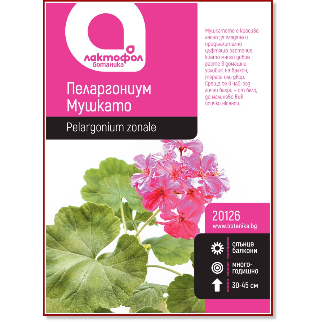 Семена от Мушкато Семена от Мушкато - 6 g -