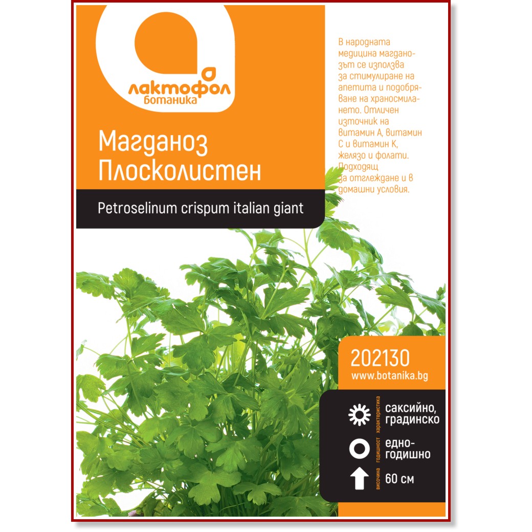 Семена от Магданоз Плосколистен Семена от Магданоз Плосколистен -