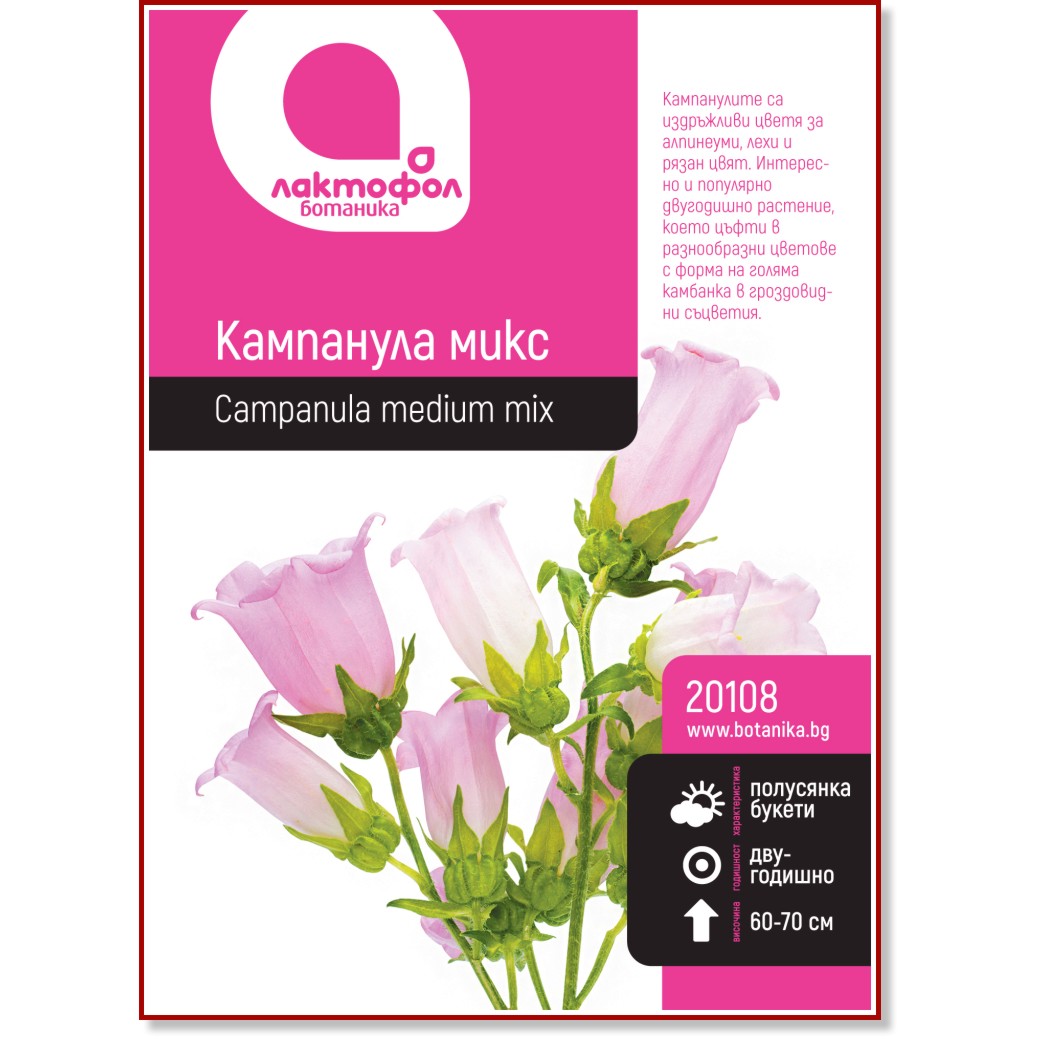 Семена от Кампанула Семена от Кампанула -