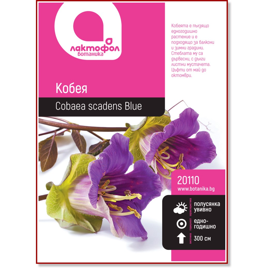Семена от Кобея Семена от Кобея - 1 g -