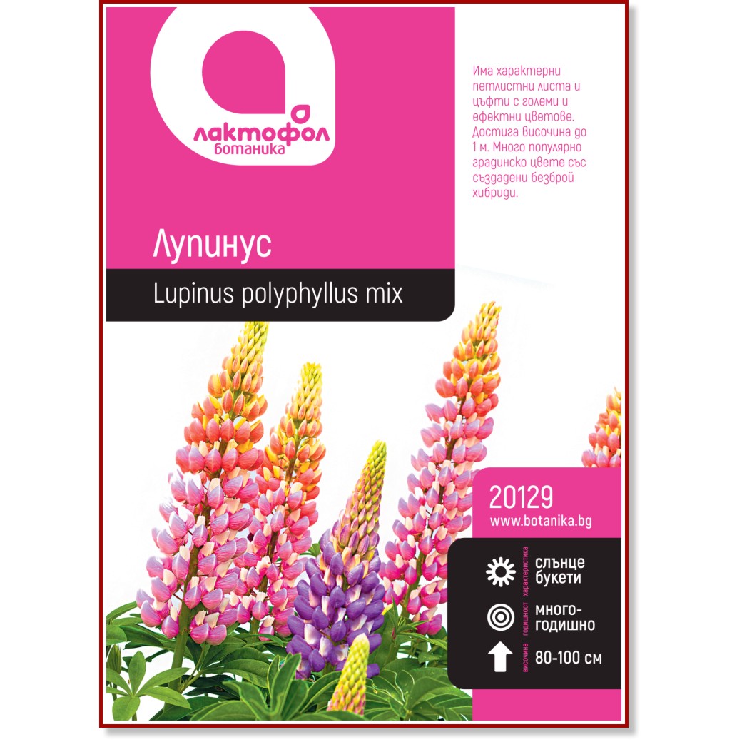 Семена от Лупинус Семена от Лупинус -
