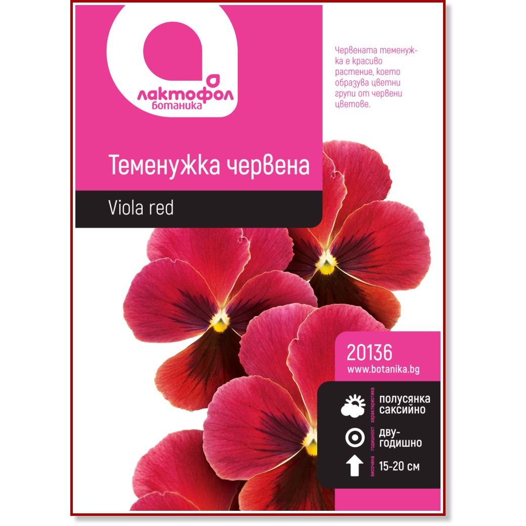 Семена от червена Теменужка Семена от червена Теменужка -