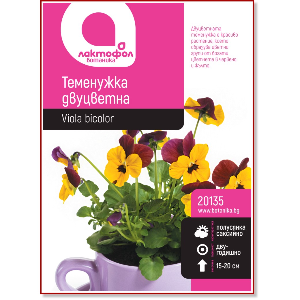 Семена от двуцветна Теменужка Семена от двуцветна Теменужка -